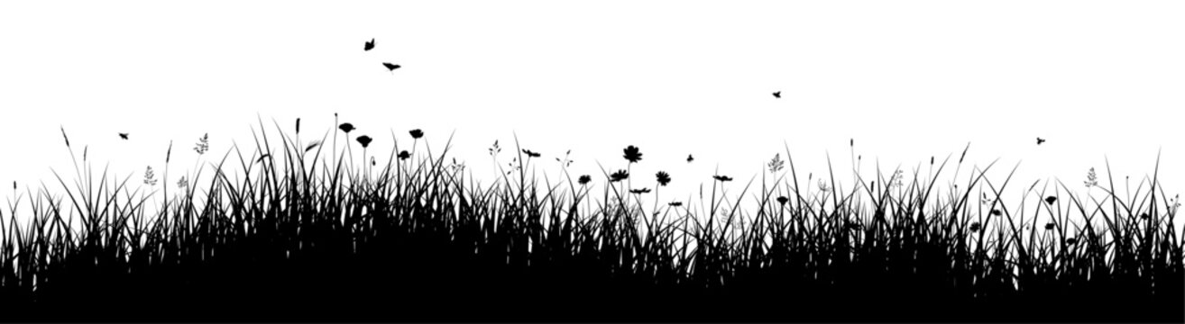Grass border illustration. Meadow vector silhouette with herbs, flowers and insects on isolated background. Realistic natural landscape banner for Easter, spring or ecology illustrations.