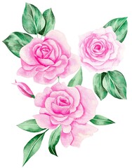 Watercolor Bouquet of flowers, isolated, white background, pink roses and green leaves
