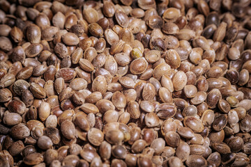 Marijuana seeds in a big pile. Hemp seeds