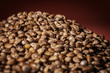 Marijuana seeds in a big pile. Hemp seeds