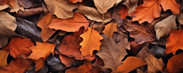 Colorful leaves are scattered around on the ground, large scale, top view, detailed texture. Autumn wallpaper.