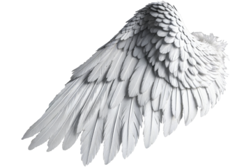 photorealistic angel wings on a transparent background