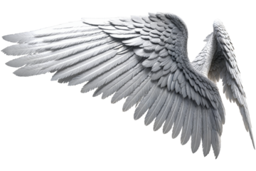 photorealistic angel wings on a transparent background