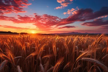 Foto op Plexiglas Golden wheat field at dusk., generative IA © JONATAS