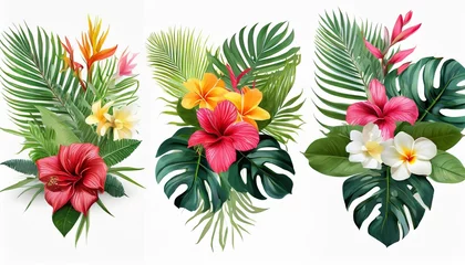  set tropical vector flowers card with floral illustration bouquet of flowers with exotic leaf isolated on white background composition for invitation to party or holiday © Claudio