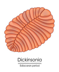 Dickinsonia, an Ediacaran period creature, colorful illustration on a white background, representing early life on Earth.