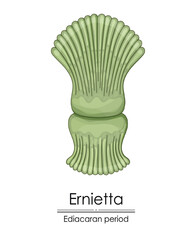 Ernietta, an Ediacaran period creature, colorful illustration on a white background, representing early life on Earth.