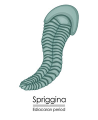 Spriggina, an Ediacaran period creature, colorful illustration on a white background, representing early life on Earth.
