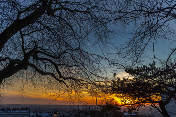 Fototapeta na wymiar winter sunset view of the city through the tree branches