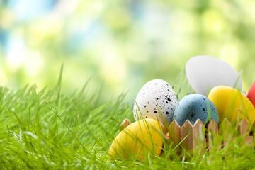 Easter  colored eggs on the green meadow