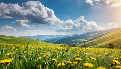Door stickers Meadow, Swamp beautiful meadow field with fresh grass and yellow dandelion flowers in nature against a blurry blue sky with clouds summer spring perfect natural landscape