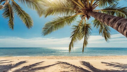 blue sky and palm trees view from below vintage style tropical beach and summer background travel concept