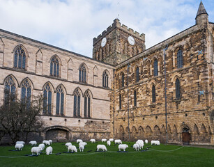 Hexham Abbey, Northumberland, UK with sheep display.