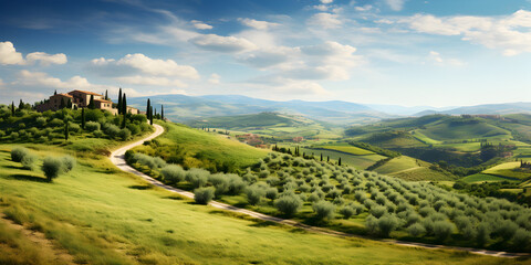Landscape view of Italian Tuscany hills countryside panorama with olive trees