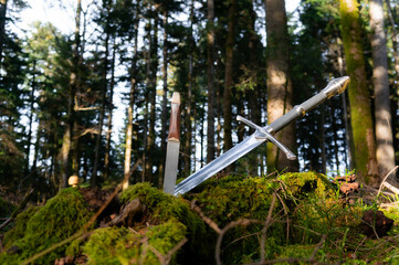 Schwert im Wald