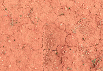 Background of the cracked and scorched earth of the Sierra Nevada vineyards