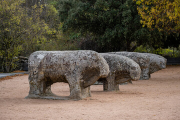 Bulls of Guisando, Vetón sculptural group, 4th and 3rd centuries BC, Iron Age, Ávila, province of Ávila, autonomous community of Castilla y León, Spain