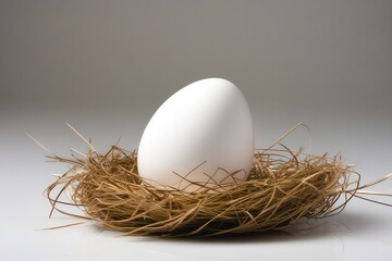 A high quality stock photograph of a single egg and nest isolated on a white background