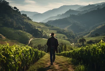 Fotobehang a man walking on a path in a vineyard © ion