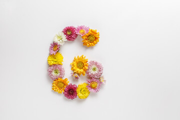 Letter G made of real natural flowers.