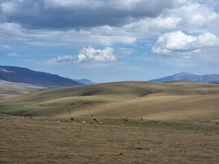 Obraz premium landscape with mountains and clouds