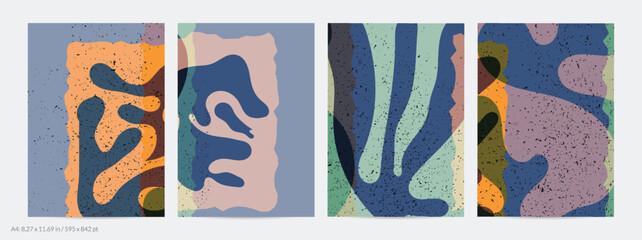 B28_0608 © Zebra Finch