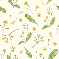 Watercolor floral seamless pattern in vintage rustic style, on an ivory background, hand-painted print, designer texture. pattern with delicate spring flowers for greeting cards, fabric, wedding