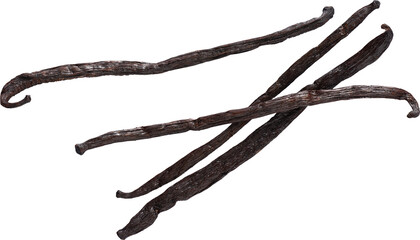 LAYER-LAB_1006200071_LC