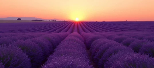 Fotobehang Sunset Glow Lavender, Decorative Backdrop © M.Gierczyk