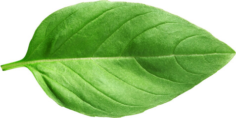 Obraz premium LAYER-LAB_0908171519_LC