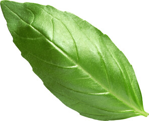 Obraz premium LAYER-LAB_0908171537_LC