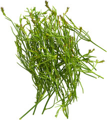 LAYER-LAB_1008219128-03_LC