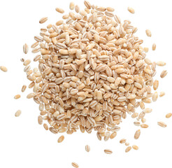 LAYER-LAB_1012209159_LC