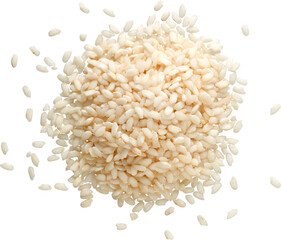 LAYER-LAB_1012209167_LC