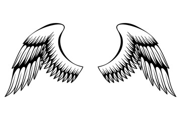 Wings sketch. Stylized birds wings. Hand drawn contoured stiker wing in open position. Vector design elements in coloring style