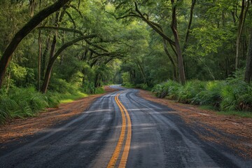 Fototapeta premium A road surrounded by trees on both sides provides a picturesque setting for a peaceful drive.