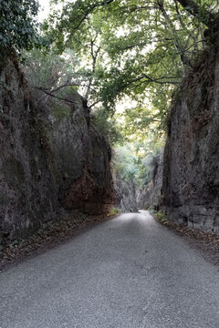 Tuff canyon country road in Viterbo, Italy