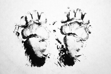 Foot print of a badger in Chine ink