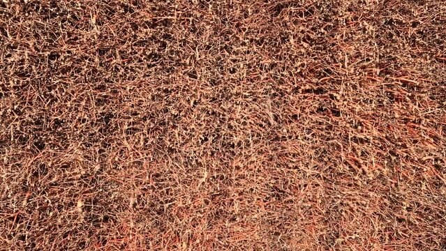 The cooling tower or saline is a structure made of bundles of twigs of blackthorns, through which the water of salt springs flows