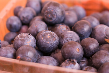 Blueberry antioxidant organic superfood
