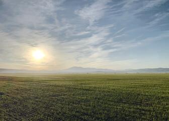 Fototapeta na wymiar Sun rising in Eastern Idaho over a grain field