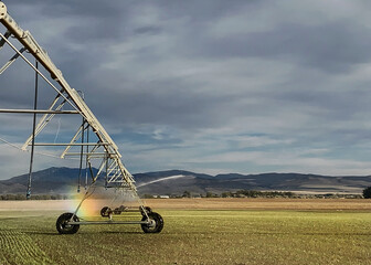 An irrigation pivot watering a field with a rainbow formed in the water