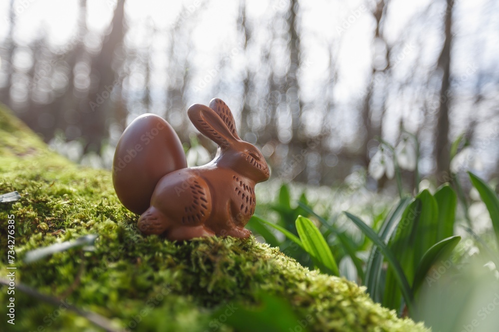 Wall mural Easter chocolate bunny or rabbits with spring flower in forest