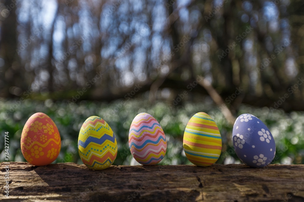 Canvas Prints Color Easter egg. On wooden tree in forest