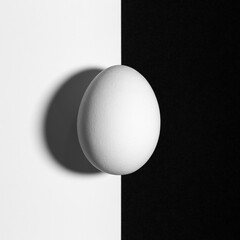 Black and white split screen with egg and shadow with copy space