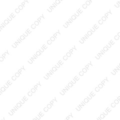 Unique Copy watermark on a Transparent Background	