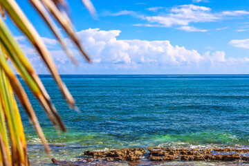 Beautiful  view of the Cayman Islands in the Caribbean with pristine beach turquoise blue green...
