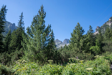 Landscape of Rila Mountain near Malyovitsa hut, Bulgaria