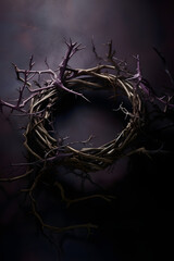 crown of thorns of king