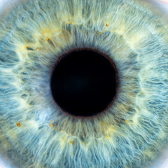Super magnification of the male green-blue coloured eye. Close-up of the pupil. Structural anatomy....